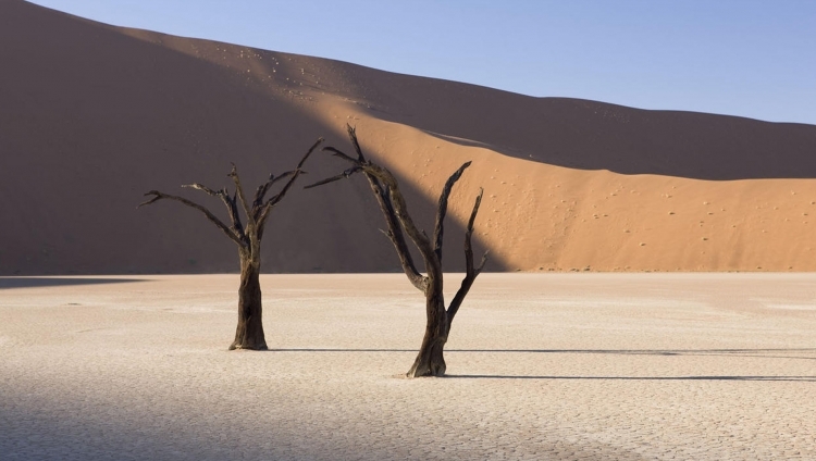 Kulala Desert Lodge - Dead Vlei